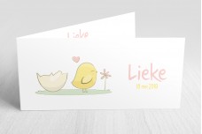 Kuikentje met ei Kuikentje met ei